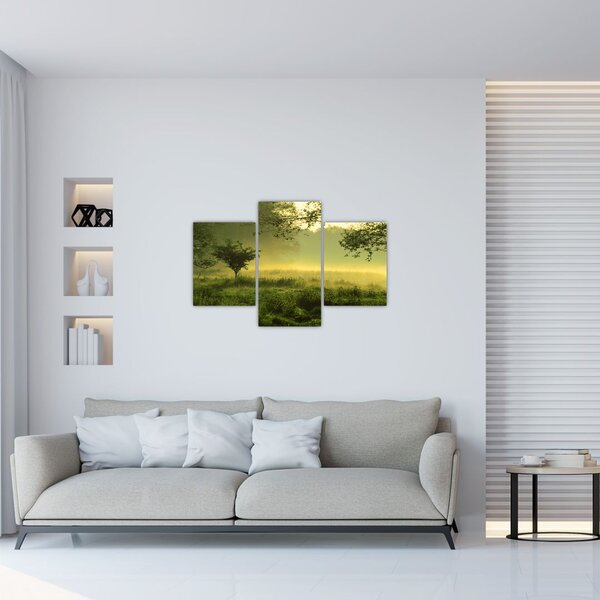 Obraz - Prebúdzajúci sa les (90x60 cm)