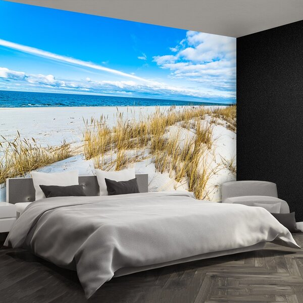 Fototapeta Vliesová Morské duny 104x70 cm