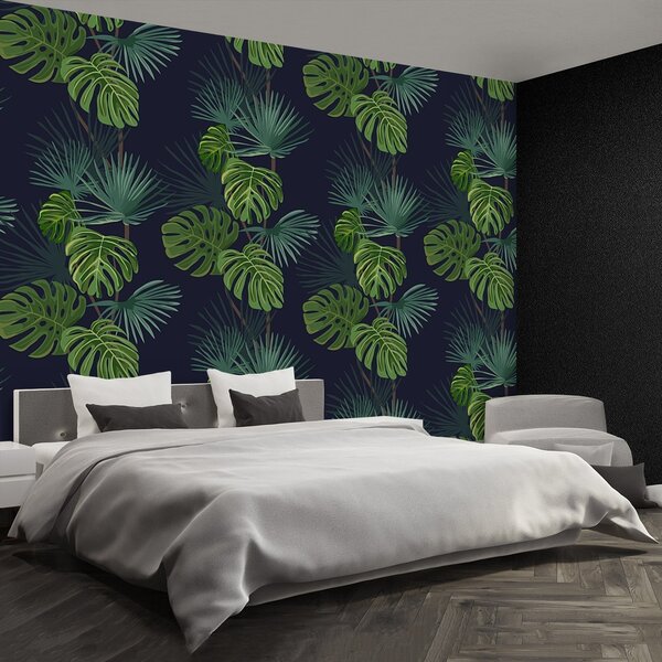 Fototapeta Vliesová Monstera deravá 152x104 cm