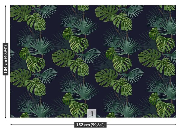 Fototapeta Vliesová Monstera deravá 152x104 cm