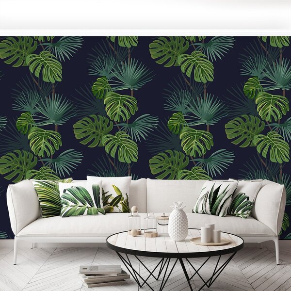 Fototapeta Vliesová Monstera deravá 152x104 cm