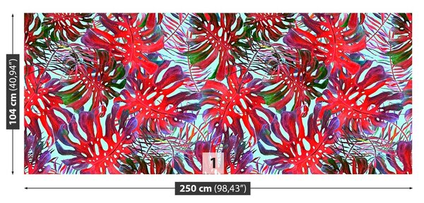 Fototapeta Vliesová Monstera deravá 250x104 cm