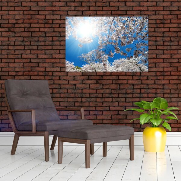 Obraz - Čerešňové kvety (90x60 cm)