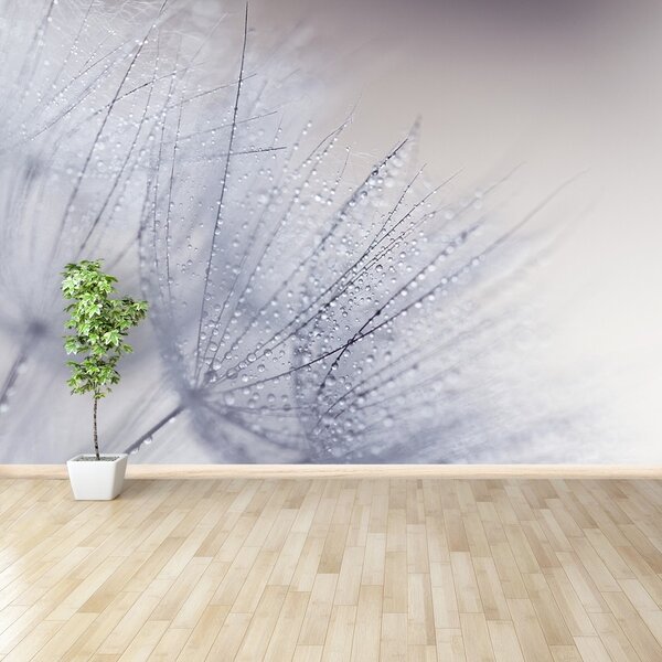 Fototapeta Vliesová Púpava semená 104x70 cm