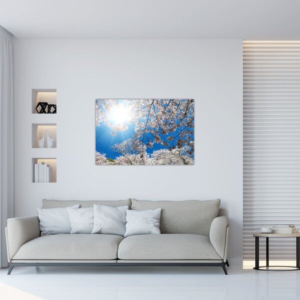 Obraz - Čerešňové kvety (90x60 cm)