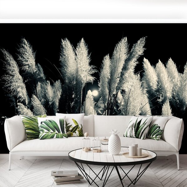 Fototapeta Vliesová Čierny trstina 250x104 cm