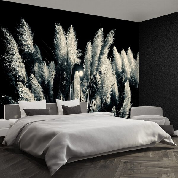 Fototapeta Vliesová Čierny trstina 250x104 cm