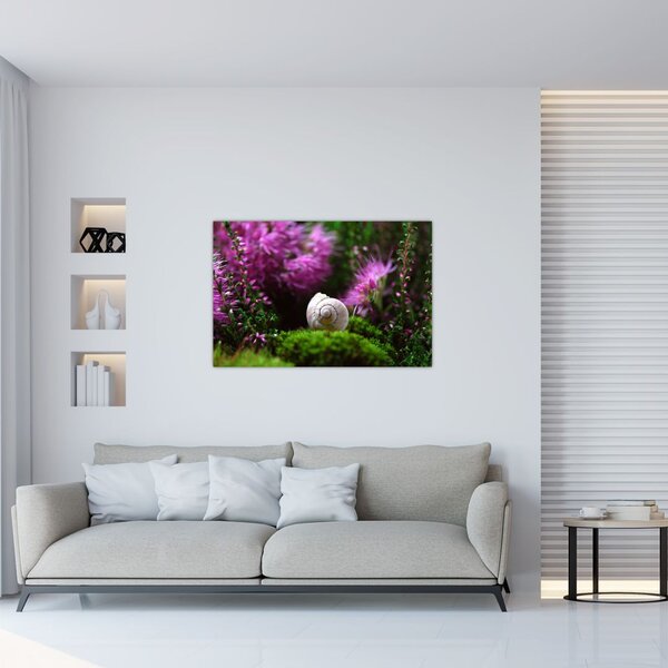 Obraz - Slimáková ulita (90x60 cm)