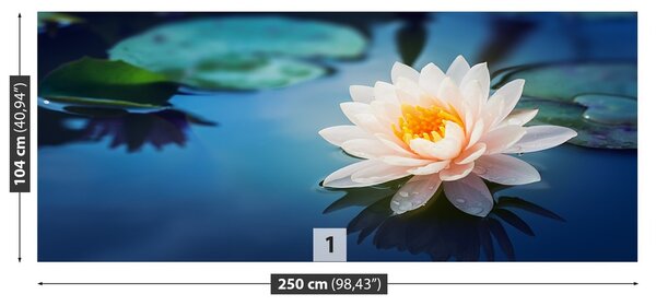 Fototapeta Vliesová Lotosový kvet 250x104 cm