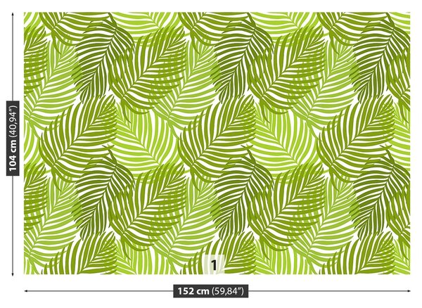 Fototapeta Vliesová Tropické listy 152x104 cm