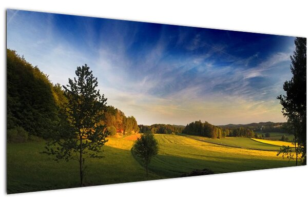Obraz - Horská lúka (120x50 cm)