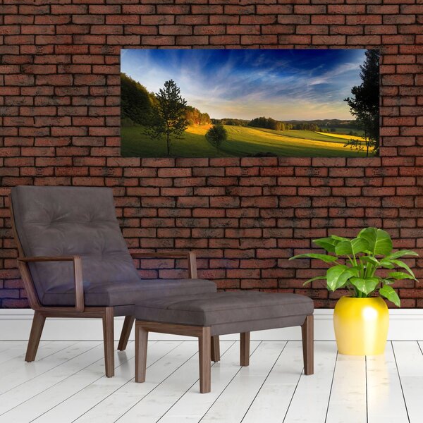 Obraz - Horská lúka (120x50 cm)