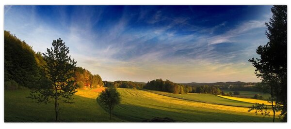 Obraz - Horská lúka (120x50 cm)