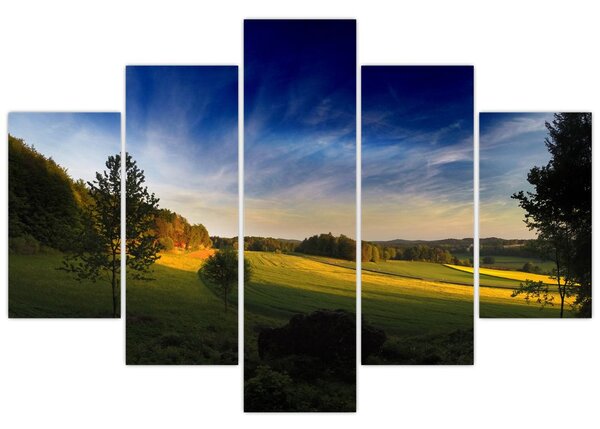 Obraz - Horská lúka (150x105 cm)