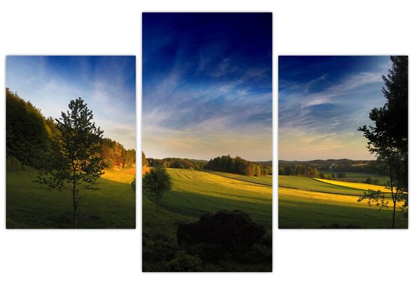 Obraz - Horská lúka (90x60 cm)