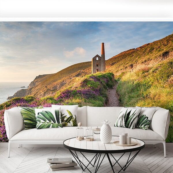 Fototapeta Vliesová Pobrežie cornwallu 104x70 cm