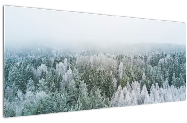 Obraz - Zasnežené vrcholky lesov (120x50 cm)
