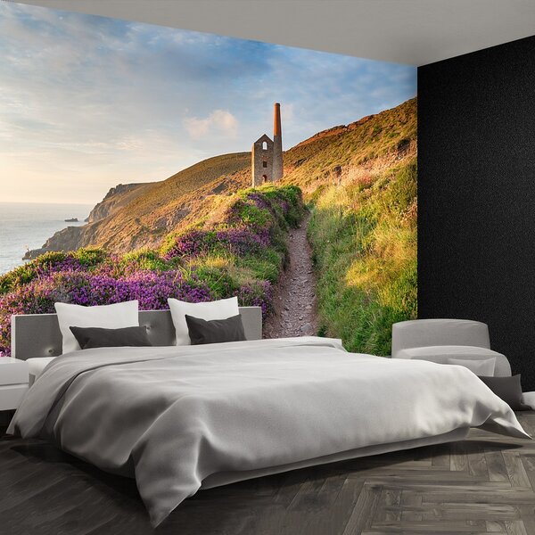 Fototapeta Vliesová Pobrežie cornwallu 104x70 cm