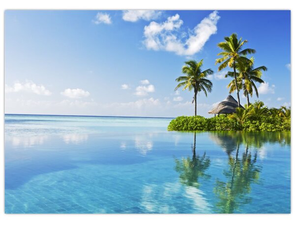 Obraz - Tropický ostrov (70x50 cm)