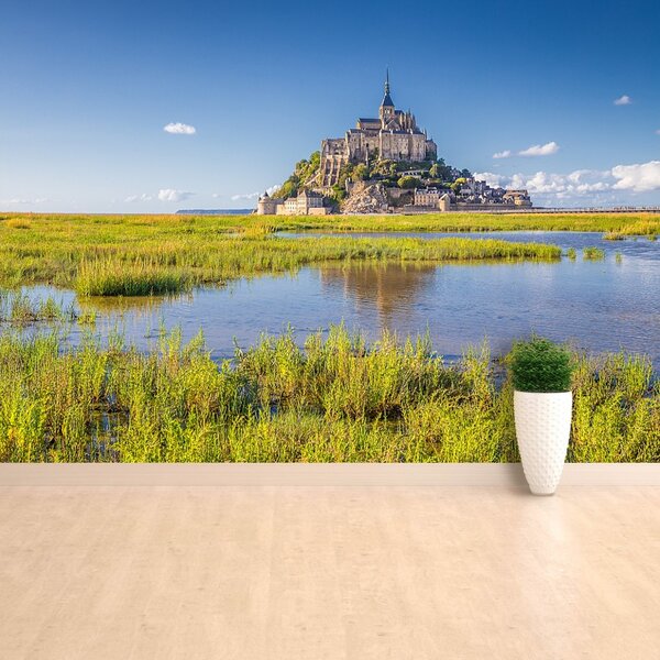 Fototapeta Vliesová Le mont saintmichel 250x104 cm