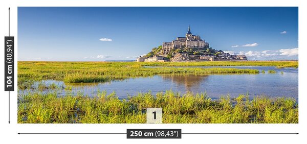 Fototapeta Vliesová Le mont saintmichel 250x104 cm