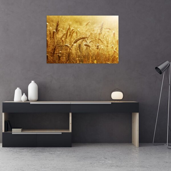 Obraz - Klasy obilia (90x60 cm)