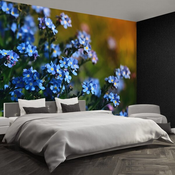 Fototapeta Vliesová Nezábudky 250x104 cm