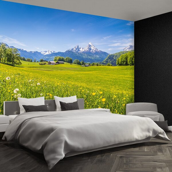 Fototapeta Vliesová Alpské lúky 104x70 cm