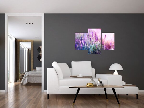 Obraz - Levanduľa vo trblietania slnka (90x60 cm)