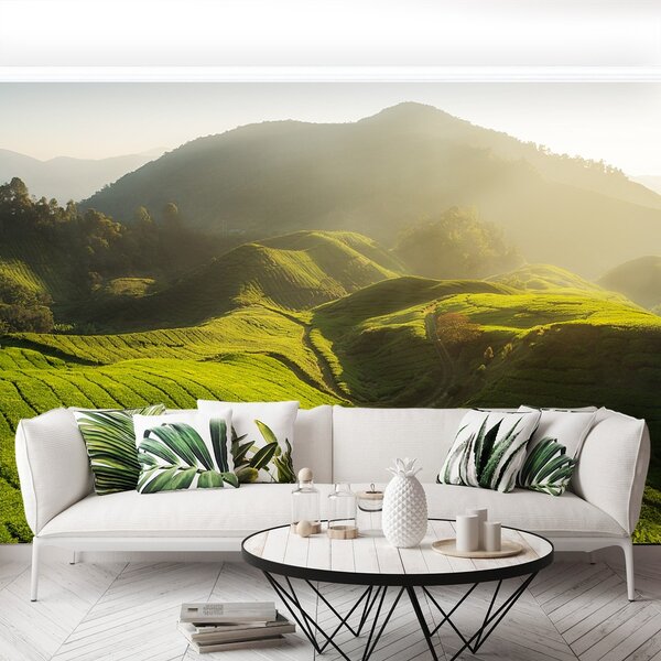 Fototapeta Vliesová Čajová plantáž 104x70 cm