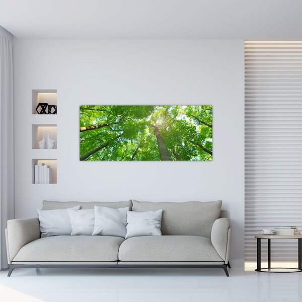 Obraz - Les (120x50 cm)