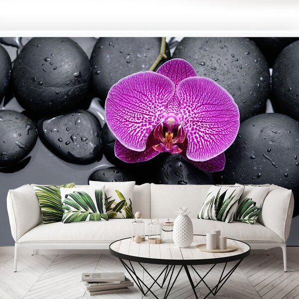 Fototapeta Vliesová Orchidea kamene 152x104 cm