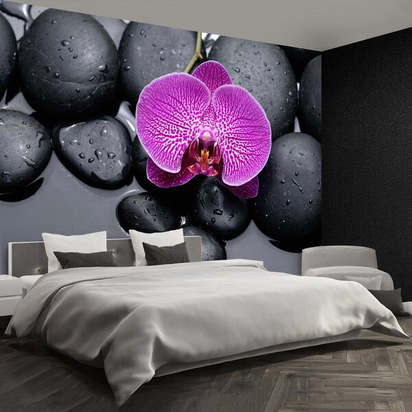 Fototapeta Vliesová Orchidea kamene 152x104 cm