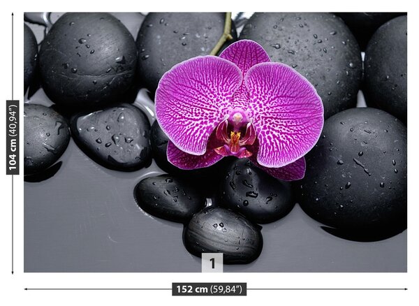 Fototapeta Vliesová Orchidea kamene 152x104 cm