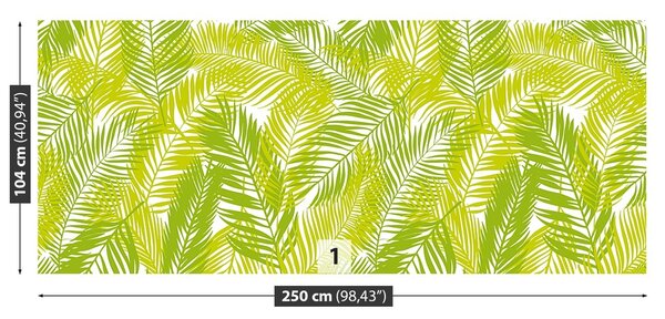 Fototapeta Vliesová Palmové listy 250x104 cm