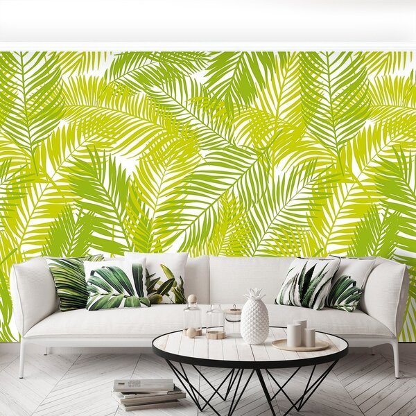 Fototapeta Vliesová Palmové listy 250x104 cm