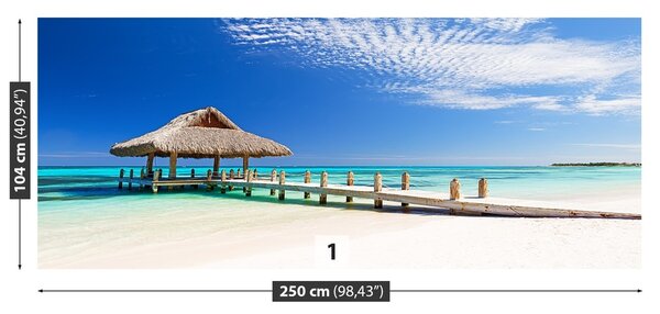 Fototapeta Vliesová Biela pláž 250x104 cm