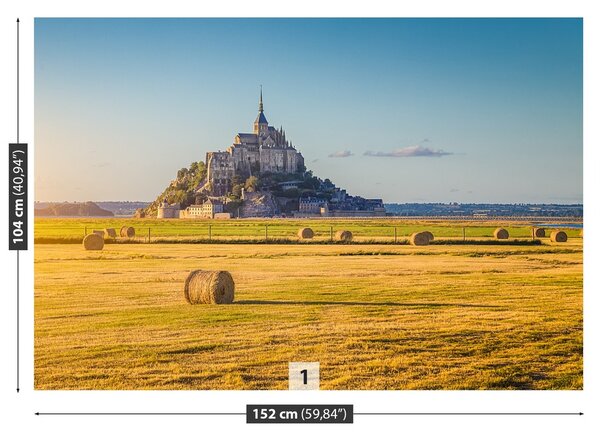 Fototapeta Vliesová Le mont saintmichel 152x104 cm