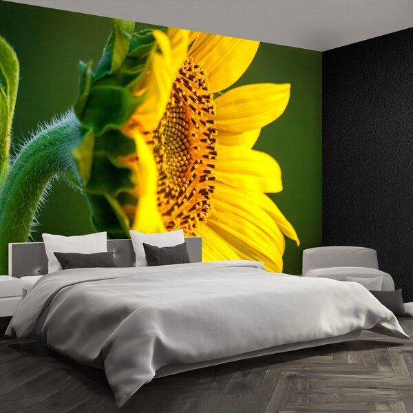 Fototapeta Vliesová Slnečnica 104x70 cm