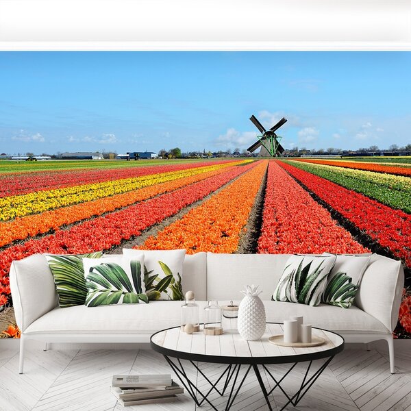 Fototapeta Vliesová Veterný mlyn tulipány 152x104 cm
