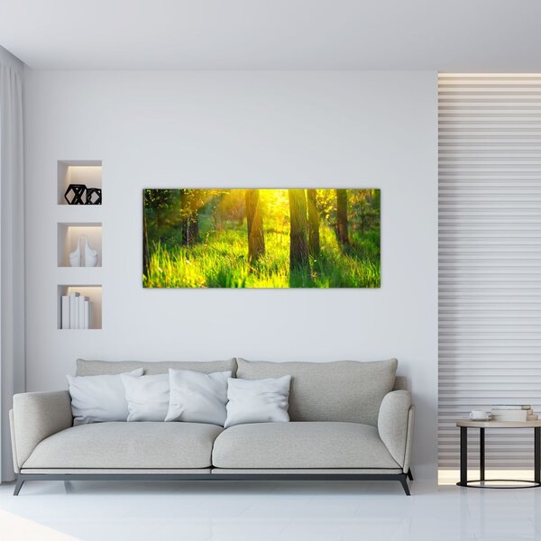 Obraz - Jarné prebúdzanie lesa (120x50 cm)