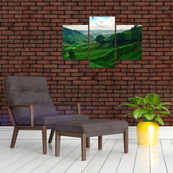Obraz - Čajové plantáže v Malajzii (90x60 cm)