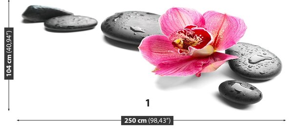 Fototapeta Vliesová Orchidea kamene 250x104 cm