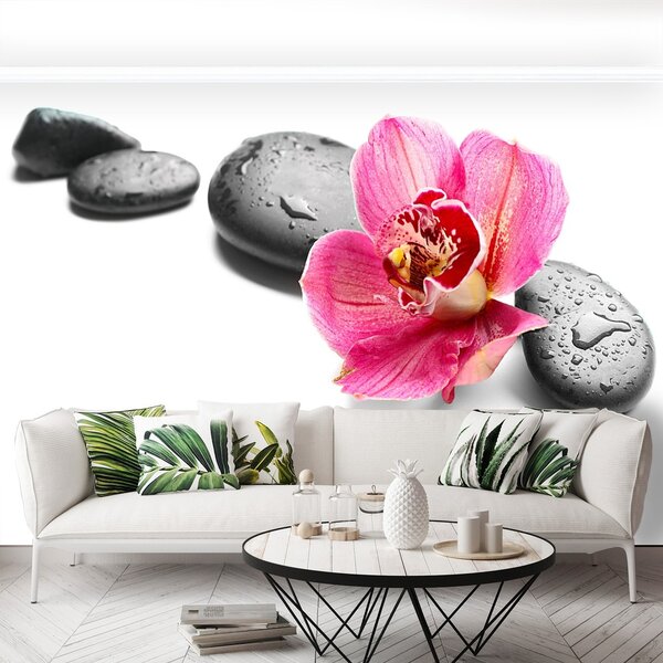 Fototapeta Vliesová Orchidea kamene 250x104 cm
