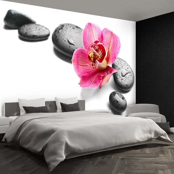 Fototapeta Vliesová Orchidea kamene 250x104 cm