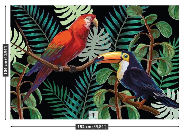 Fototapeta Vliesová Ara toucan 152x104 cm