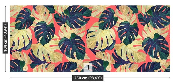 Fototapeta Vliesová Listy monstery 250x104 cm