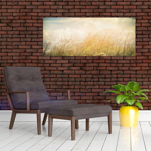 Obraz - Pole na jeseň (120x50 cm)