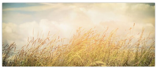 Obraz - Pole na jeseň (120x50 cm)