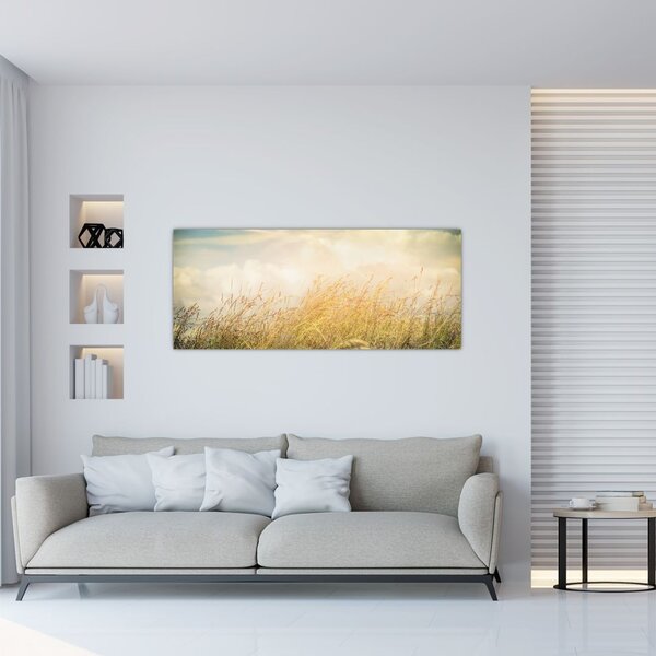 Obraz - Pole na jeseň (120x50 cm)